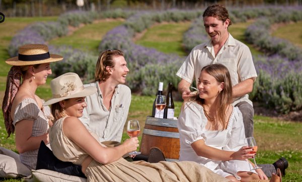 Have a picnic among the lavender fields at this lush mountain winery