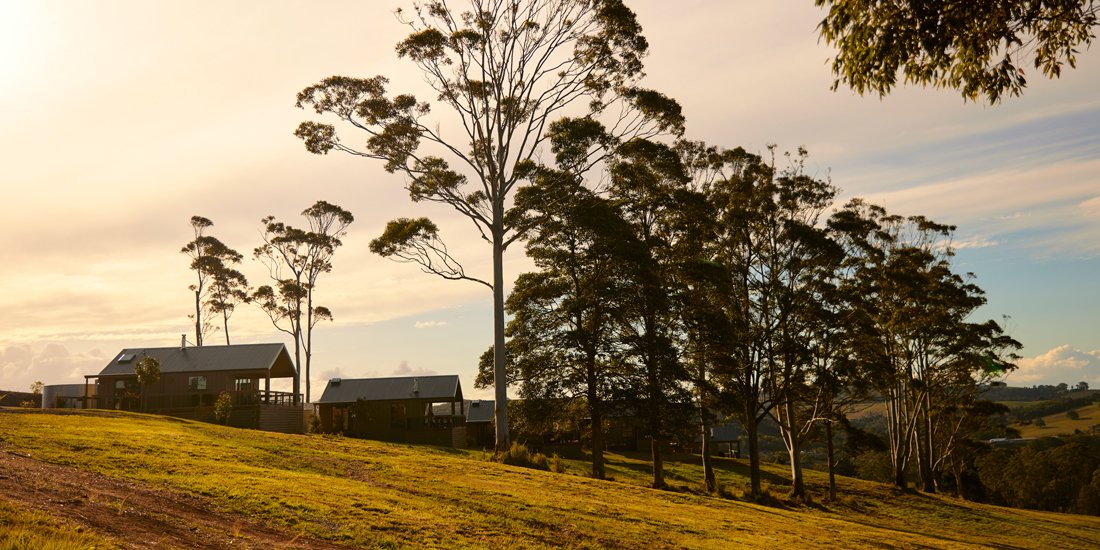 Say salutations to Sun Ranch, a 1970s Cali-inspired estate nestled in the Byron Bay hinterland