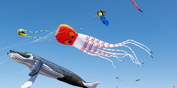 Redcliffe KiteFest