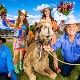 Camels and creativity – shop from more than 110 regional and rural stalls at the Buy From the Bush QLD Festival