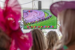 Melbourne Cup at Blackbird