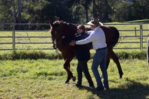 The Healing – Brisbane Film Premiere