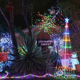 The round-up: crank those carols and cruise on by Brisbane’s best Christmas lights