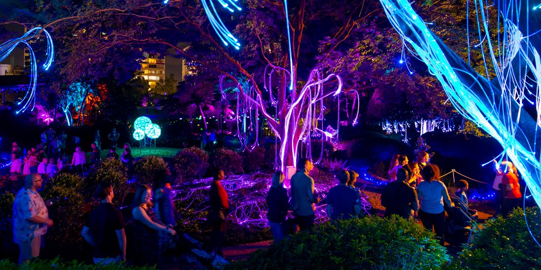 Magical light show The Enchanted Garden is returning to Roma Street Parkland