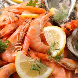 Sample the ocean's freshest fare at North Stradbroke Island's annual Seafood Spectacular