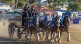 Scenic Rim Clydesdale Spectacular