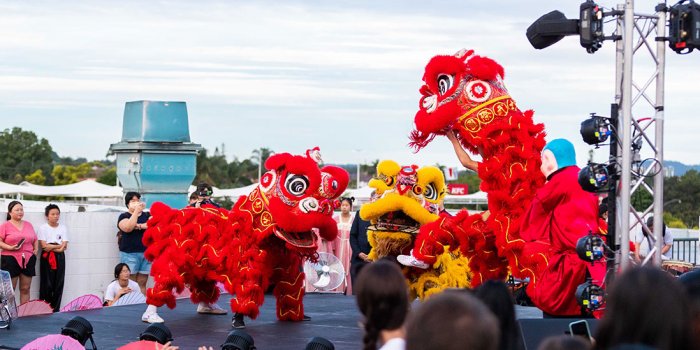 Sunnybank Plaza and Sunny Park – Lunar New Year