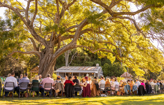 Ditch the city for a paddock-to-plate paradise for Scenic Rim Eat Local Month