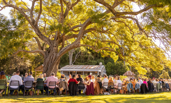 Ditch the city for a paddock-to-plate paradise this Scenic Rim Eat Local Month