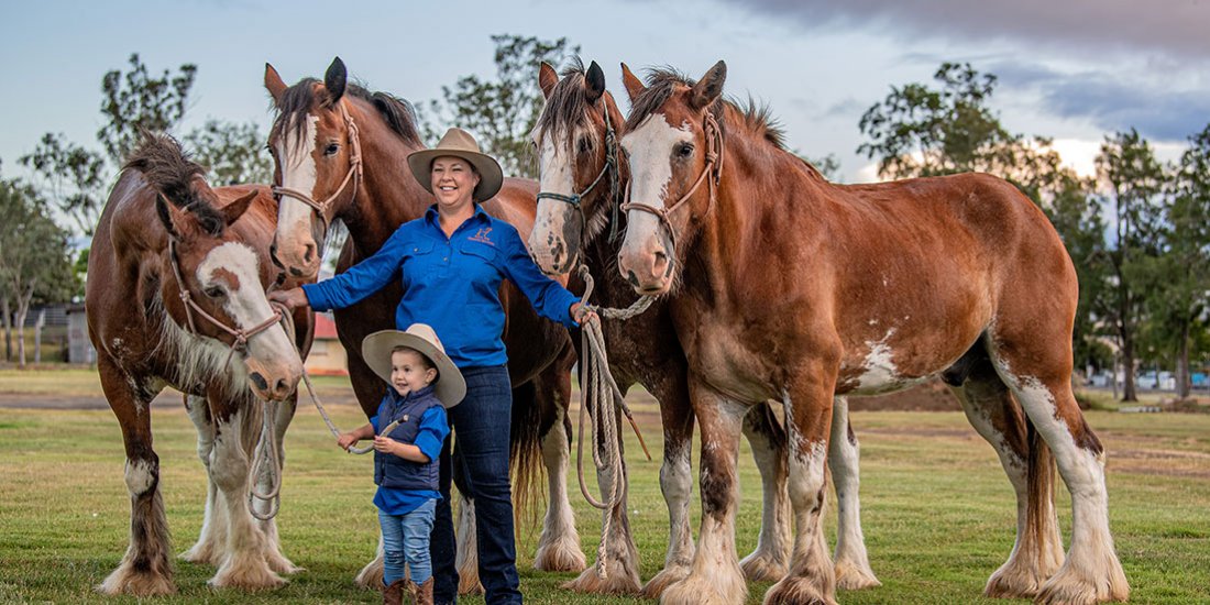 Giddy up to the country for the Scenic Rim Clydesdale Spectacular's celebration of equine art, culture and tradition