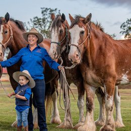 Giddy up to the country for the Scenic Rim Clydesdale Spectacular's celebration of equine art, culture and tradition