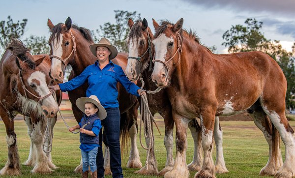 Giddy up to the country for the Scenic Rim Clydesdale Spectacular's celebration of equine art, culture and tradition