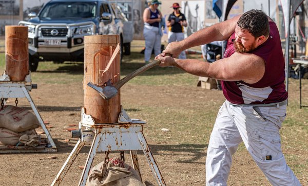 Escape to the country for a weekend of wagon rides, bush dancing and equine arts at the Scenic Rim Clydesdale Spectacular