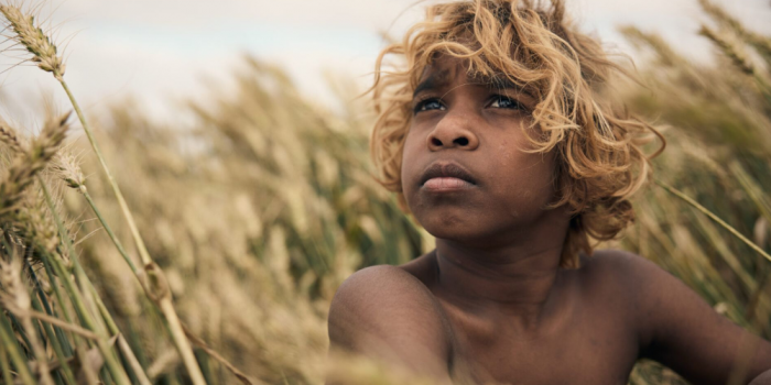 NAIDOC Week Film Night at Brisbane Powerhouse