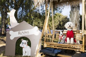 Pooches in the Park – Kallangur