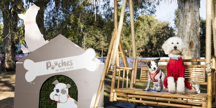 Pooches in the Park – Kallangur