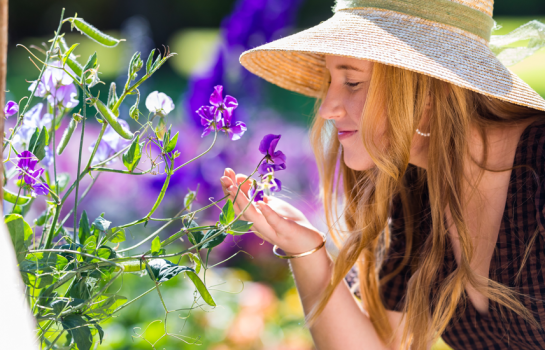 Food festivals, starry serenades and doggy days out  – top things to check out at Toowoomba Carnival of Flowers