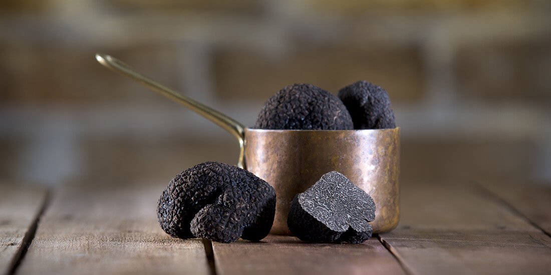 Cucina Vivo presents the perfect truffle menu