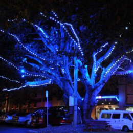 Get festive at Tugun Lights Up Christmas Picnic