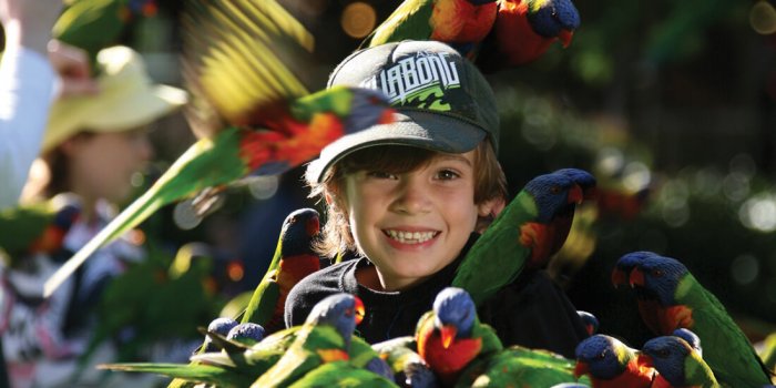 Christmas Night Market at Currumbin Sanctuary