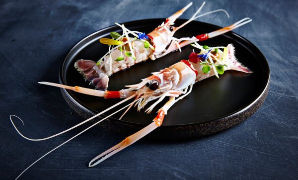Celebrate New Years Eve in style at Kiyomi’s cutting-edge foodie bash