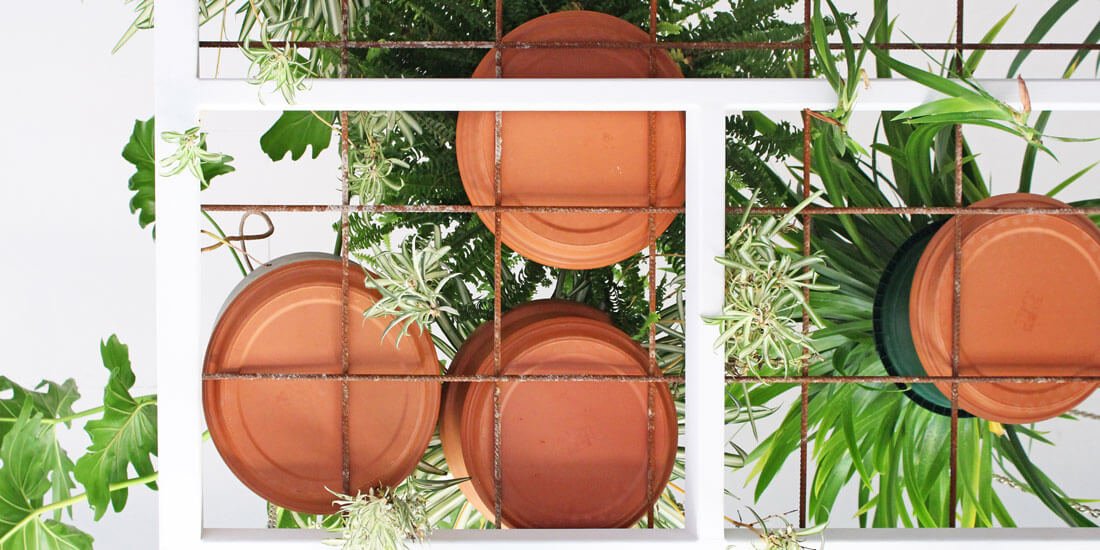 Nikau opens homewares and ceramics space in Byron Bay