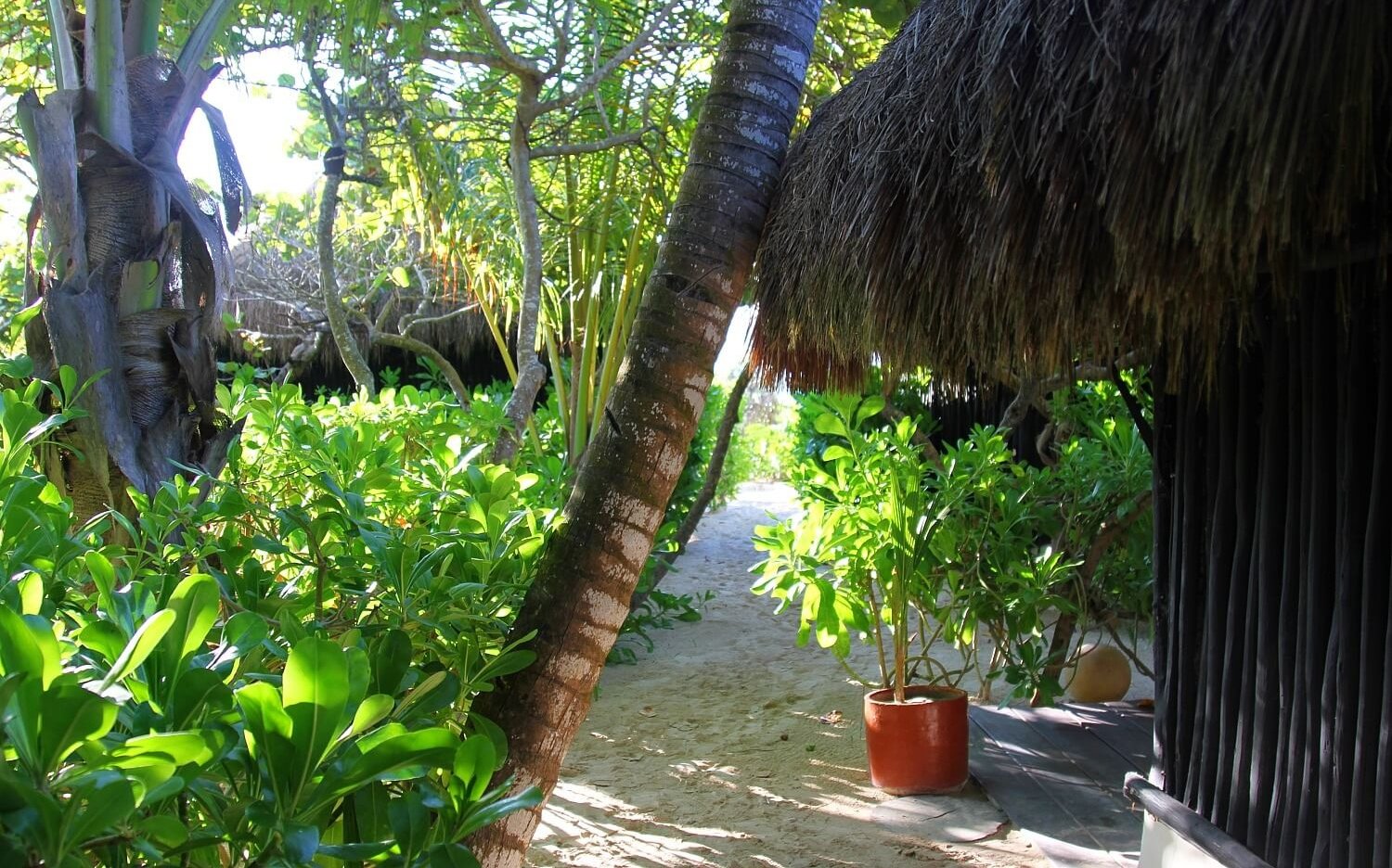 Coco Tulum