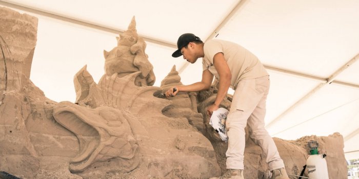 Sand Safari Arts Festival 2020