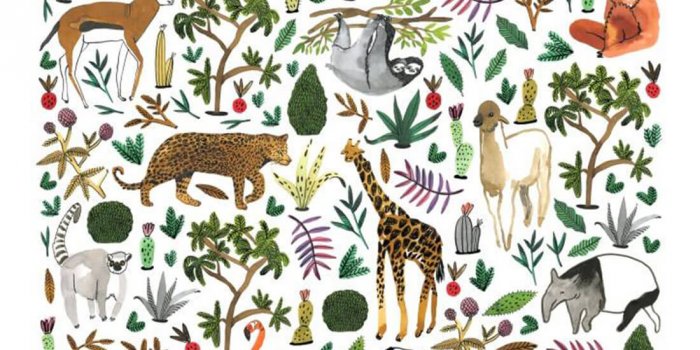 Unwind with Watercolour (Safari Animals)