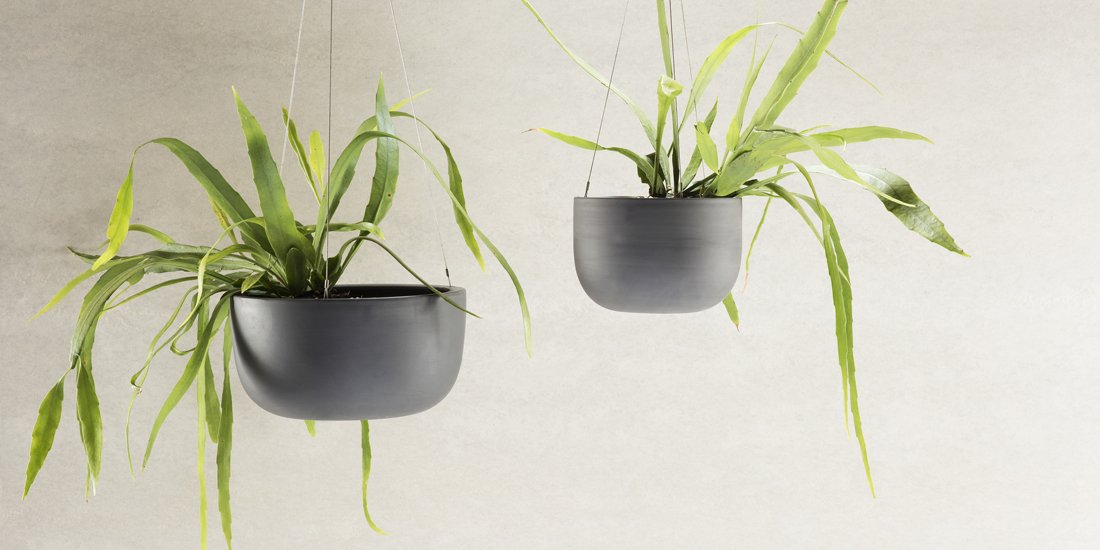 Pot your fancy plants in handcrafted pieces from Angus & Celeste