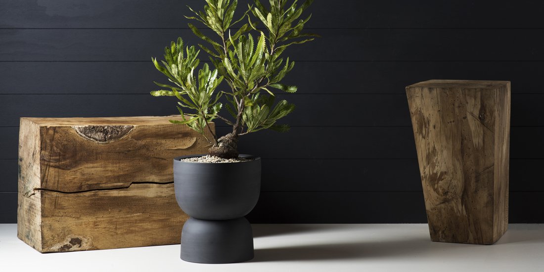 Pot your fancy plants in handcrafted pieces from Angus & Celeste