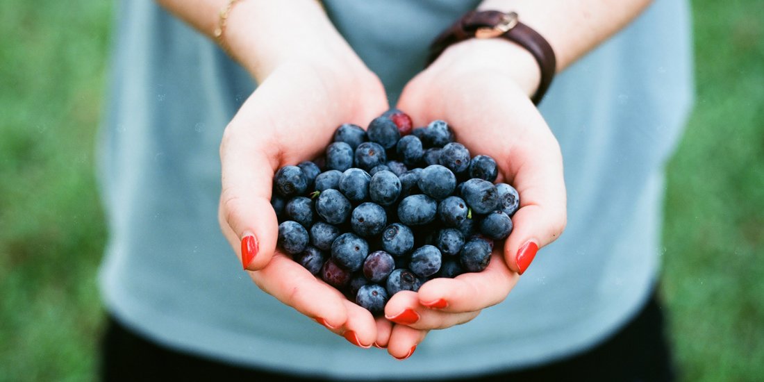 Soak up the vibes at the Robina Farmers Market and Street Eat Sundays