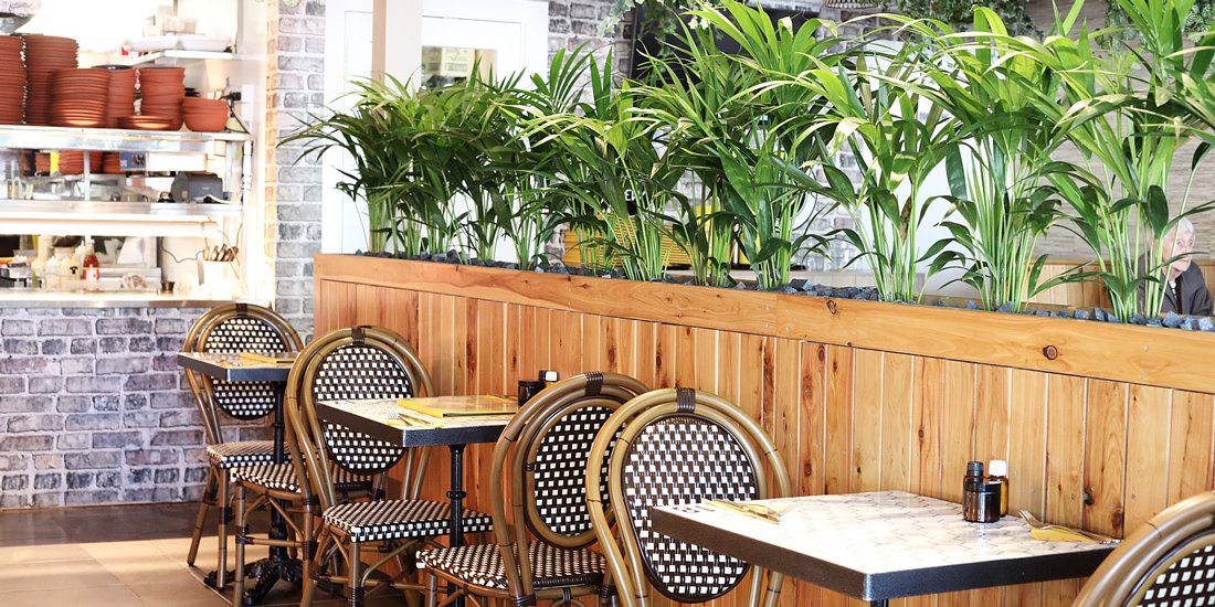 Burleigh cafe Social Brew brings its green goodness to Paradise Point