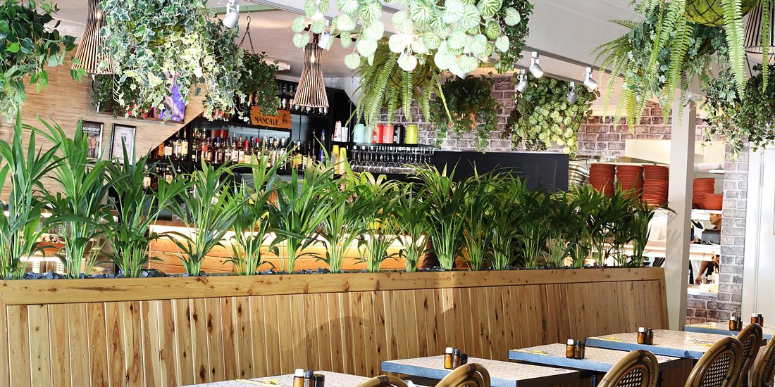 Burleigh cafe Social Brew brings its green goodness to Paradise Point