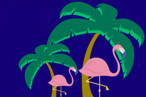 Fashion, Food and Flamingos
