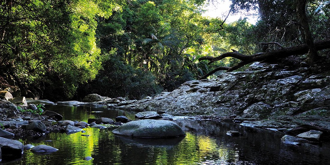 The Roadtrip Series: uncover the other side of coastal gem Currumbin