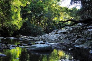 Tidal Pools Holiday Program at Tallebudgera Creek