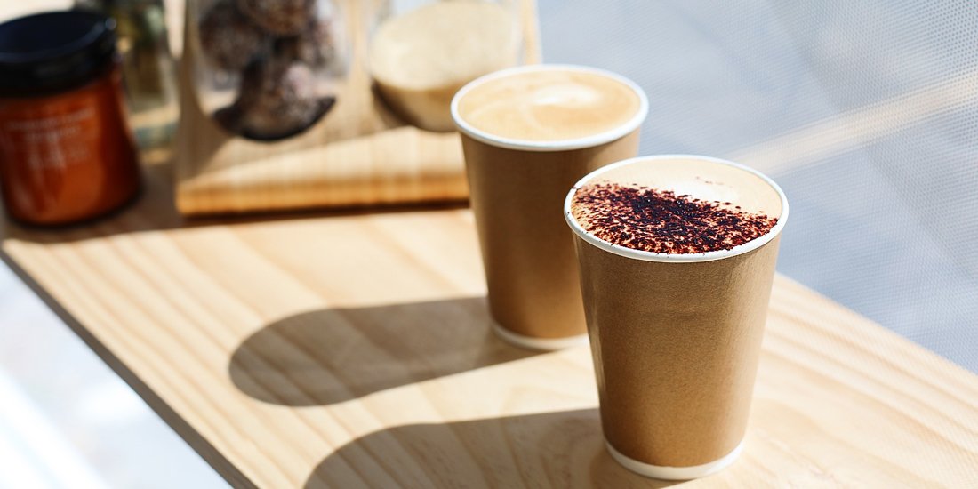 Black or White Espresso brings coffee, cold brew and kombucha to Burleigh's industrial hood