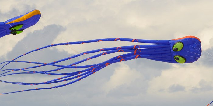 Gold Coast Festival of Kites