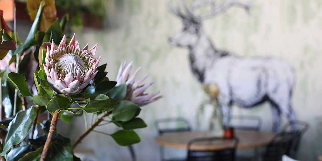 An iconic shift – Gold Coast institution Elk unveils its new home