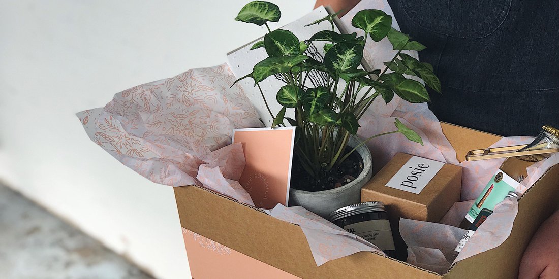 Plant-based gifts – The Borrowed Nursery unveils The Botanica Box