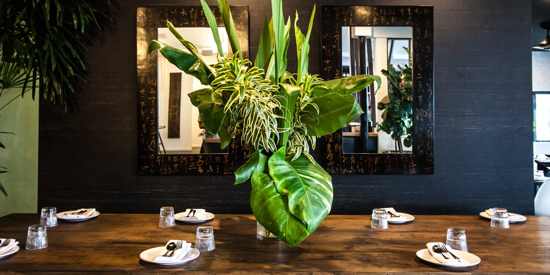 Snacks, sashimi and sips – Ryce serves up modern-Asian fare in the heart of Byron Bay