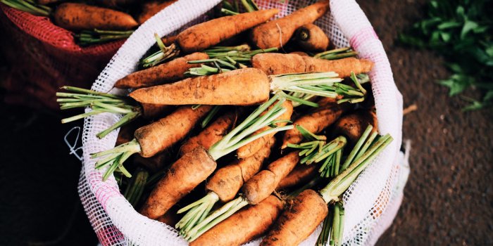 Gold Coast Organic Farmers Market