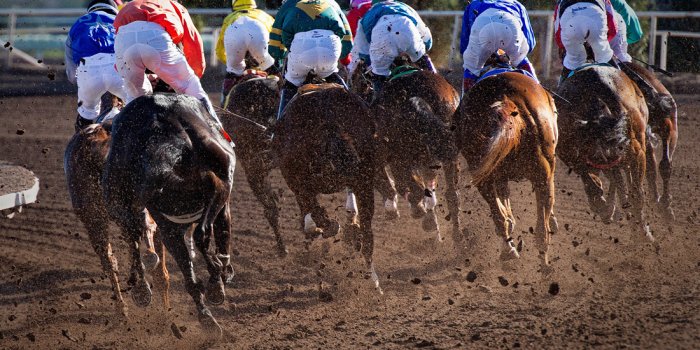 Little Souls Taking Big Steps Charity Race Day 2018