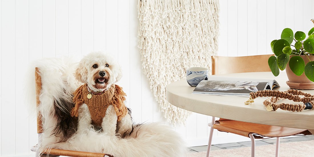 Keep your pooch snug as a bug in a sweater from Sebastian Says