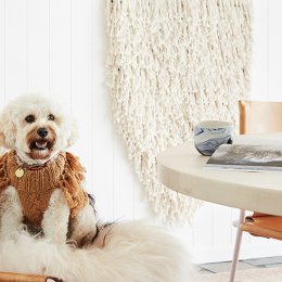 Keep your pooch snug as a bug in a sweater from Sebastian Says