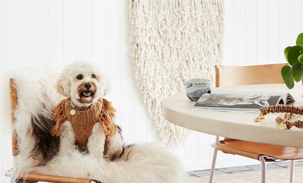 Keep your pooch snug as a bug in a sweater from Sebastian Says