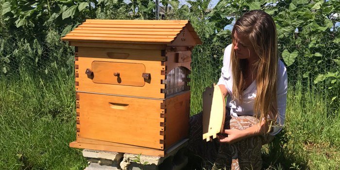 Introductory Beekeeping Workshop at The Farm