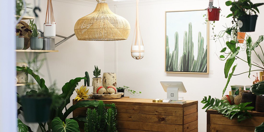 Greenfolk brings plants, homewares and botanical vibes to Burleigh