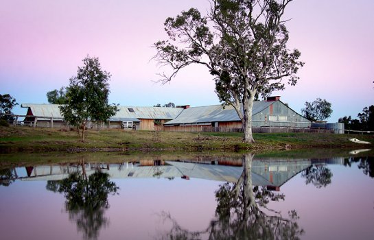 The Roadtrip Series: the great Bunya Drive via Crows Nest, Hampton and Ravensbourne